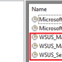 wsus_install_0041.png